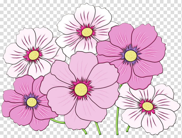 Pink Flower, Floral Design, Pansy, Primrose, Pink M, Annual Plant, Petal, Plants transparent background PNG clipart