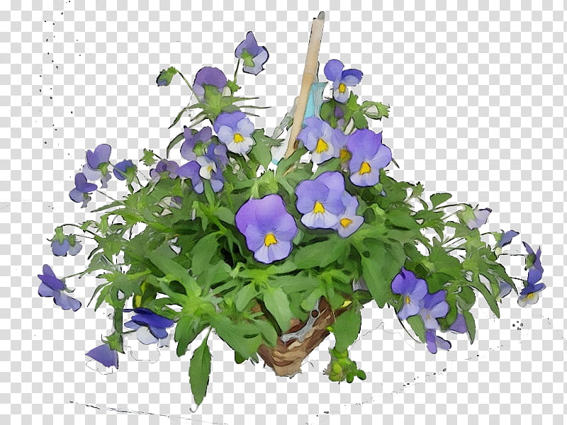 Purple Watercolor Flower, Paint, Wet Ink, Pansy, Bellflower Family, Floral Design, Annual Plant, Flowerpot transparent background PNG clipart