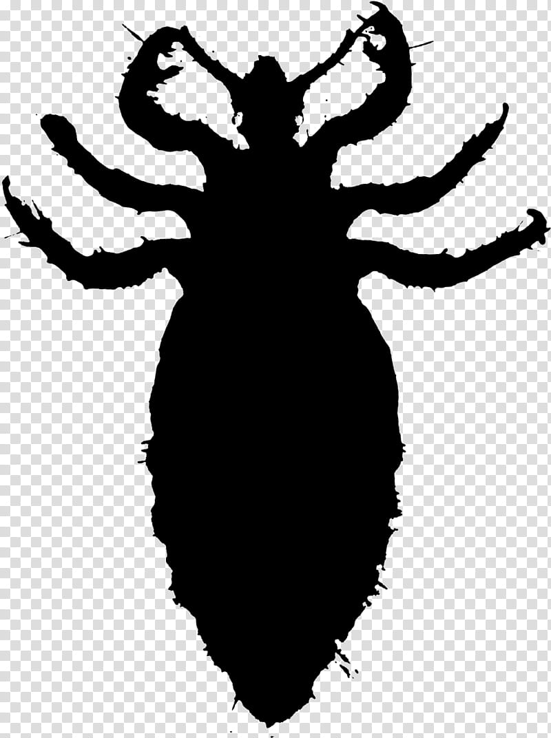 Louse Insect, Black White M, Silhouette, Cartoon, Printer, Pest transparent background PNG clipart