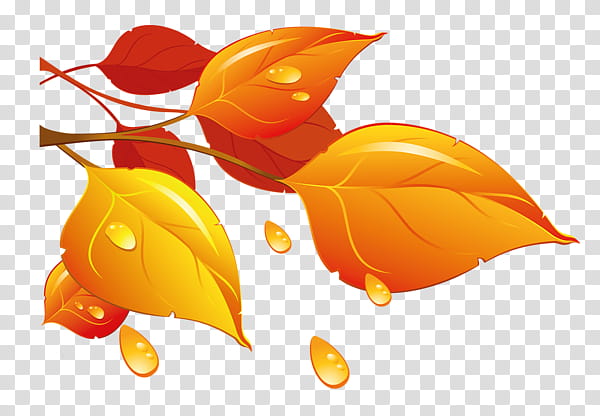 Autumn swatches, orange and red leaves illustration transparent background PNG clipart