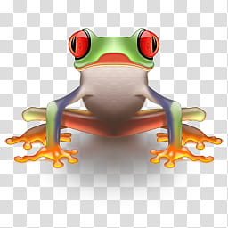 Nature Frog, green and red frog illustration transparent background PNG clipart