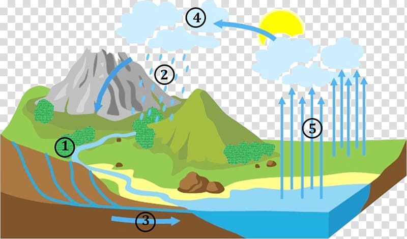 Wind, Water Cycle, Evaporation, Condensation, Hydrology, Science, Diagram, Precipitation transparent background PNG clipart