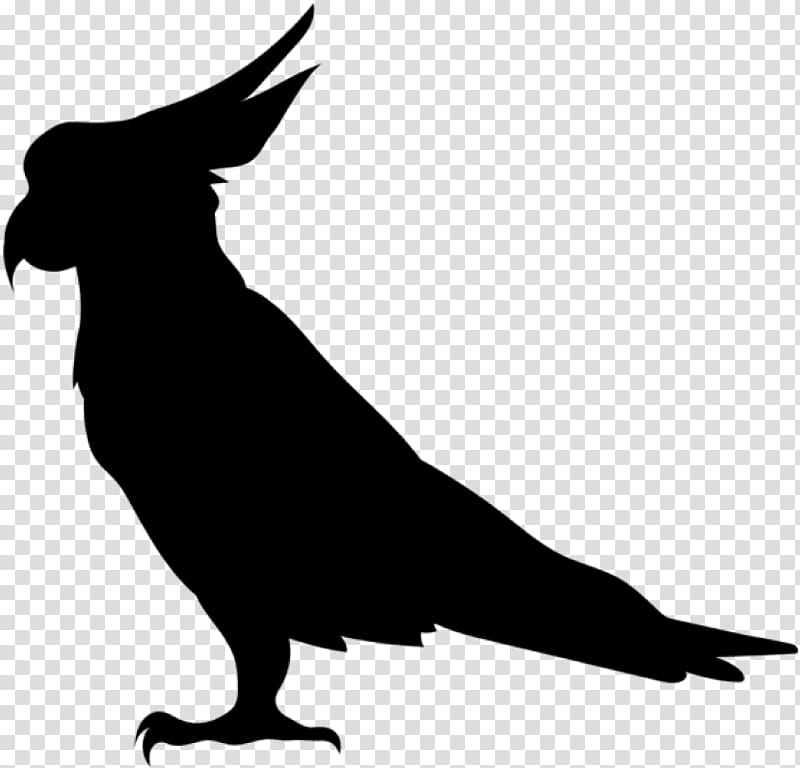 Bird Parrot, Silhouette, Amazon Parrot, Drawing, Beak, Tail, Wildlife, Blackandwhite transparent background PNG clipart