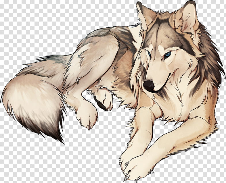 Aenima, lying wolf illustration transparent background PNG clipart