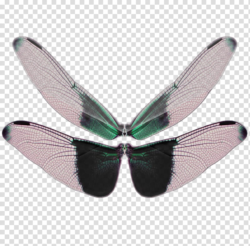 butterfly wings, green and clear dragonfly wings transparent background PNG clipart