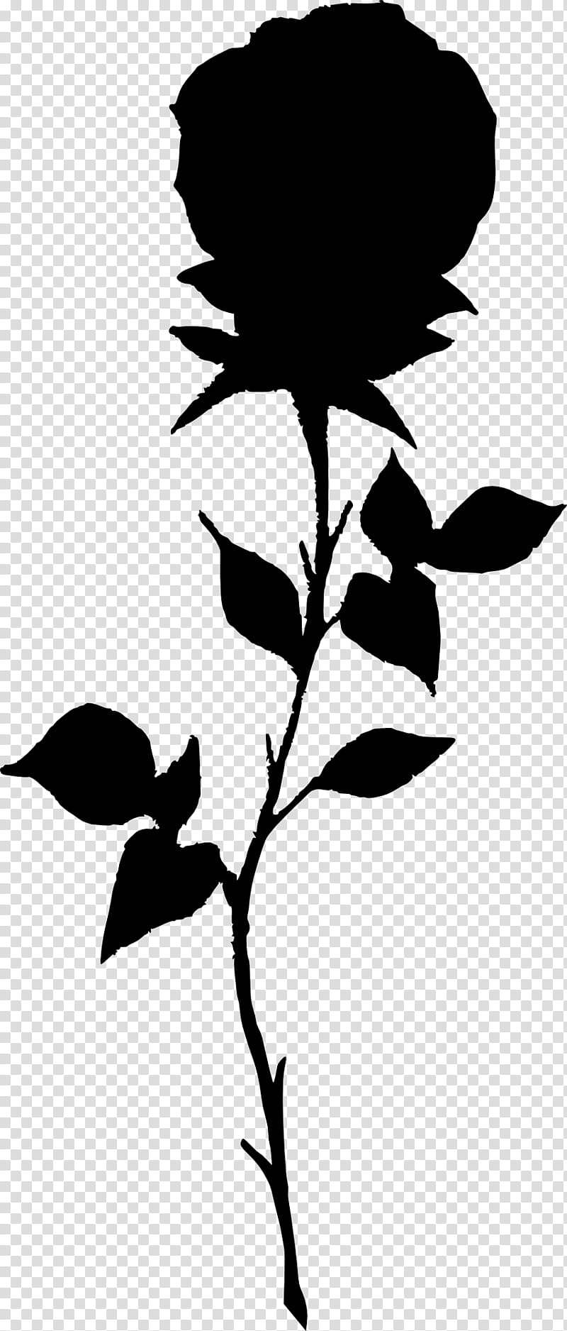Black Rose Drawing, Silhouette, Blue Rose, Leaf, Flower, Blackandwhite, Plant, Stencil transparent background PNG clipart