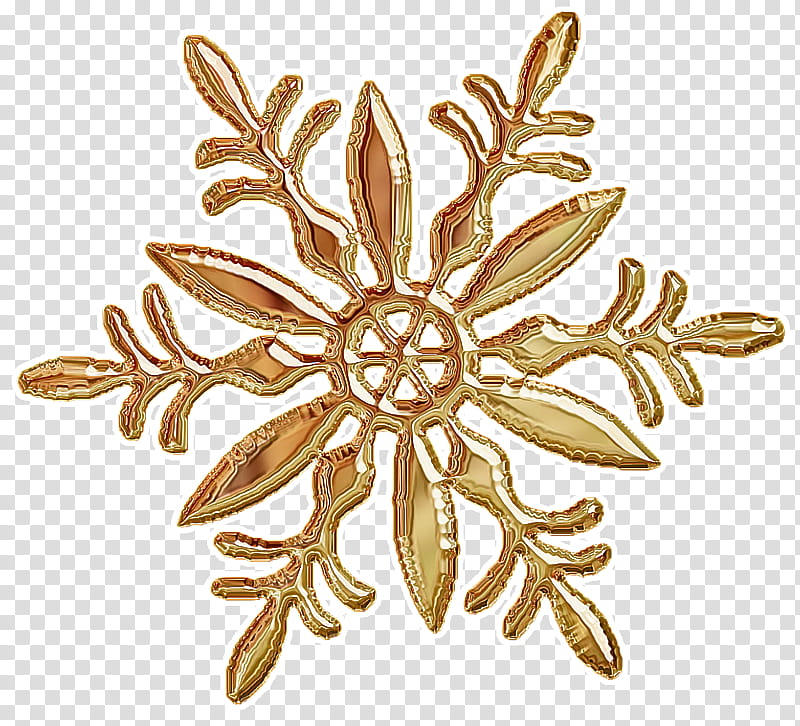 leaf brooch plant flower metal, Jewellery, Gold, Edelweiss transparent background PNG clipart