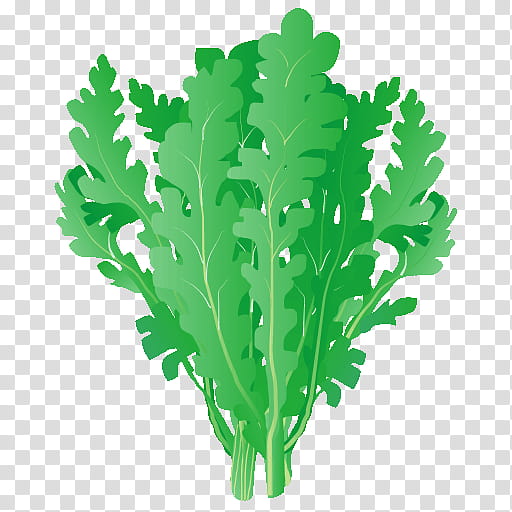 Tree Leaf, Crown Daisy, Greens, Sukiyaki, Vegetable, Leaf Vegetable, Plant Stem, Food transparent background PNG clipart
