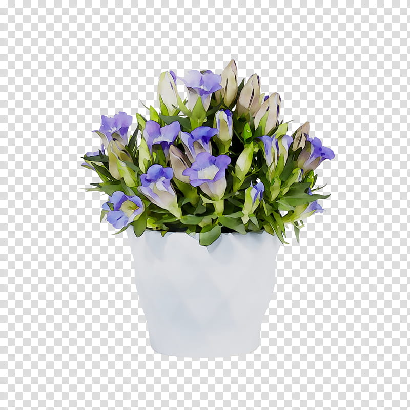 Lily Flower, Bellflower, Cut Flowers, Floral Design, Flower Bouquet, Artificial Flower, Iris Family, Flowerpot transparent background PNG clipart