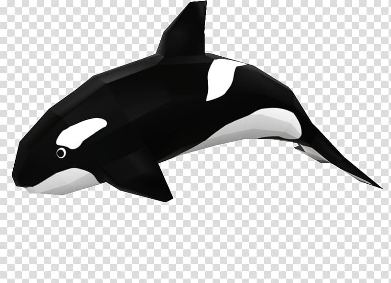 Great White Shark, Whitebeaked Dolphin, Killer Whale, Whales, Paper, Drawing, Fin Whale, Cetaceans transparent background PNG clipart