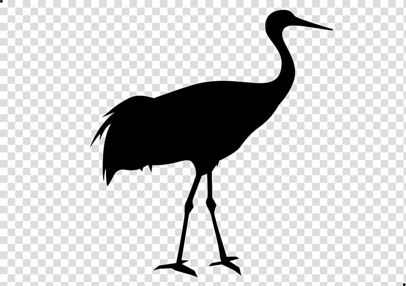 Crane Bird, Grus, Water Bird, Black White M, Computer Software, Beak, Cranelike Bird, Flightless Bird transparent background PNG clipart