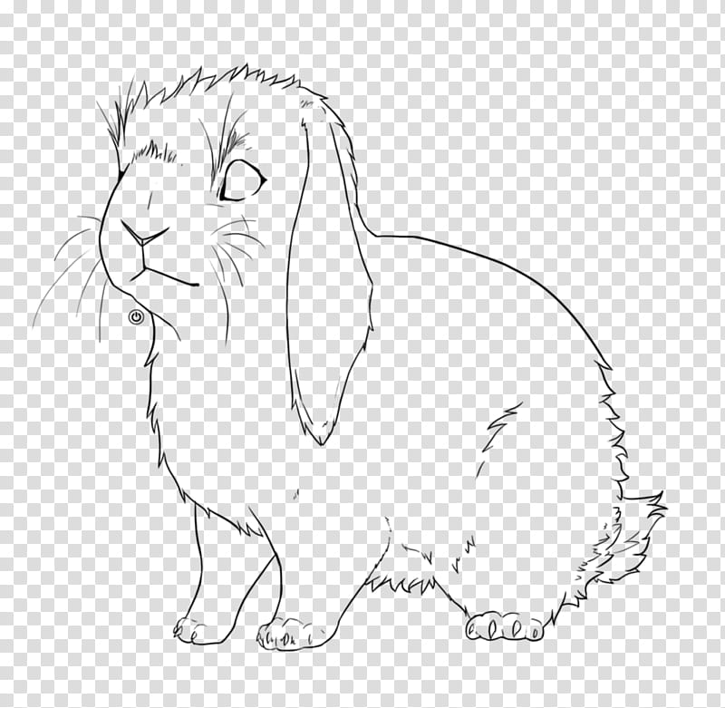 Detski Kit Lineart transparent background PNG clipart