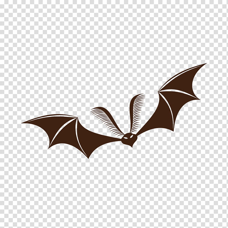 Halloween Pumpkin, Bat, Halloween , Ghost, Jackolantern, Festival, Vampire Bat, Party transparent background PNG clipart