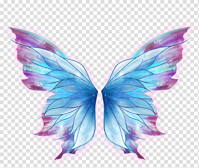 blue and pink wings illustration transparent background PNG clipart