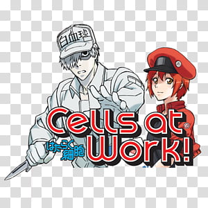 Download Cells At Work Anime White Blood Cell Wallpaper