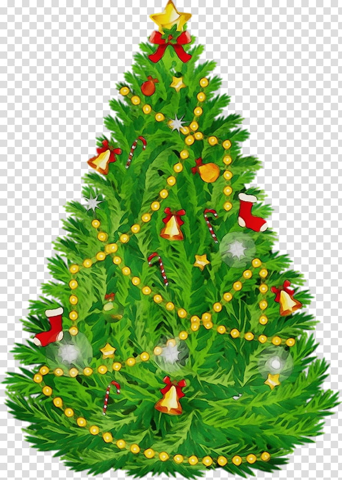 Christmas tree, Watercolor, Paint, Wet Ink, Shortleaf Black Spruce, Yellow Fir, Colorado Spruce, Oregon Pine transparent background PNG clipart
