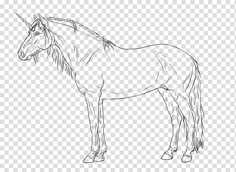 CATHARSIS LINEART, black unicorn sketch transparent background PNG clipart