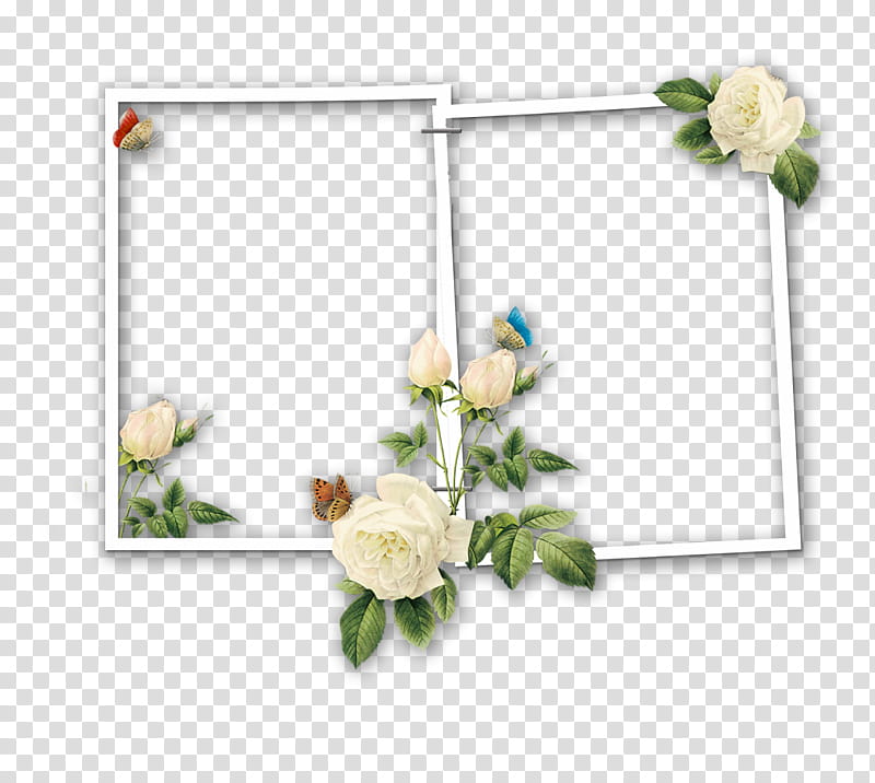 Flower Background Frame, BORDERS AND FRAMES, Day Of The Dead, Frames, Decoupage, Calavera, Painting, Collage transparent background PNG clipart
