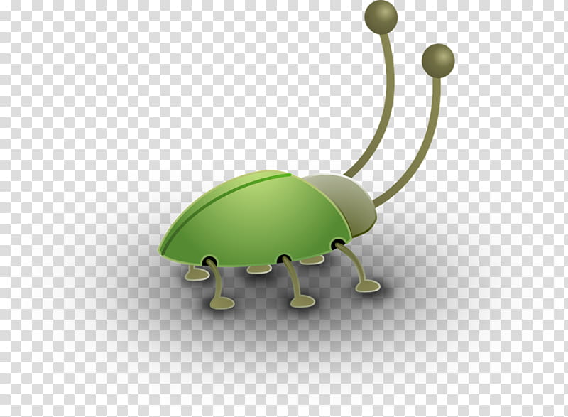 Spider, Insect, Antenna, Macro, Software Bug, Pest, Macro, Navigation transparent background PNG clipart