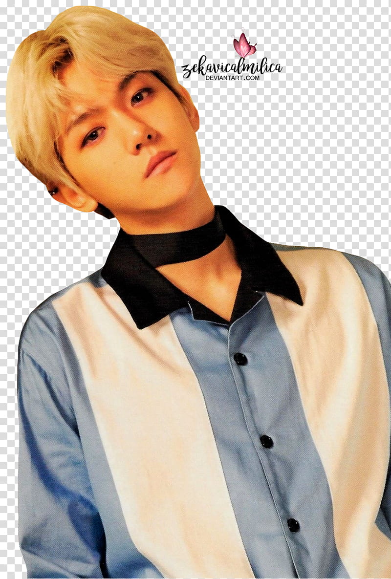 EXO CBX Baekhyun Blooming Days, Beakhyun transparent background PNG clipart