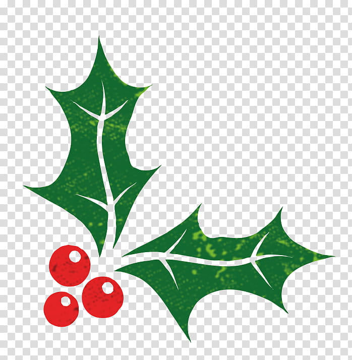 Christmas And New Year, Christmas Day, Common Holly, Christmas Card, Leaf, American Holly, Plant, Tree transparent background PNG clipart