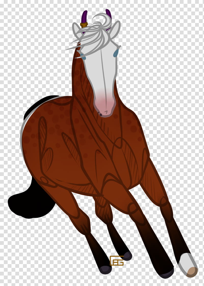 Horse, Mustang, Mane, Rein, Halter, Neck, Character, Naturism transparent background PNG clipart