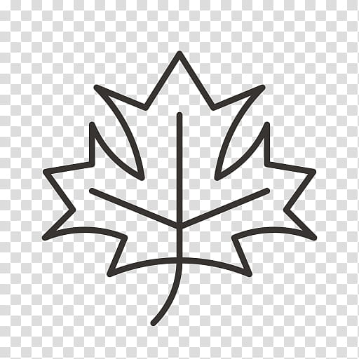 Black And White Flower, Leaf, Maple Leaf, Drawing, Coloring Book, Plants, Tree, Woody Plant transparent background PNG clipart