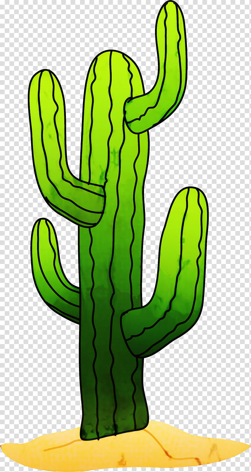 Cactus, Green, Saguaro, Plant, Cartoon, Flower, Caryophyllales, Plant Stem transparent background PNG clipart