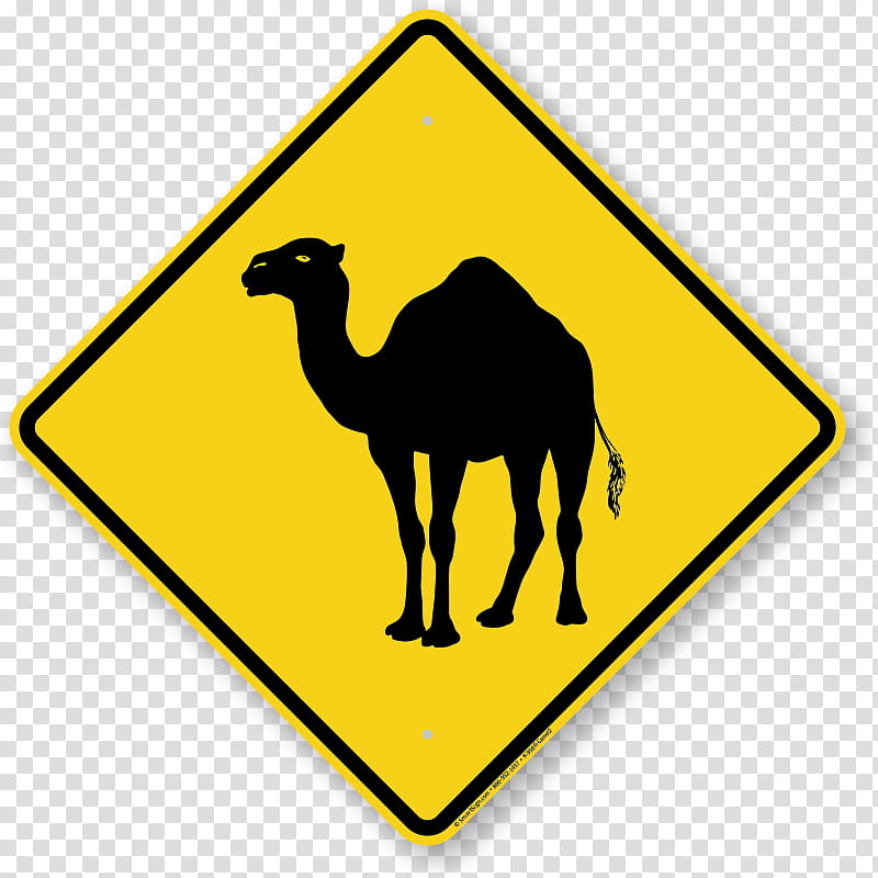 Mixcloud Yellow, Camel Like Mammal, Signage, Arabian Camel, Live transparent background PNG clipart
