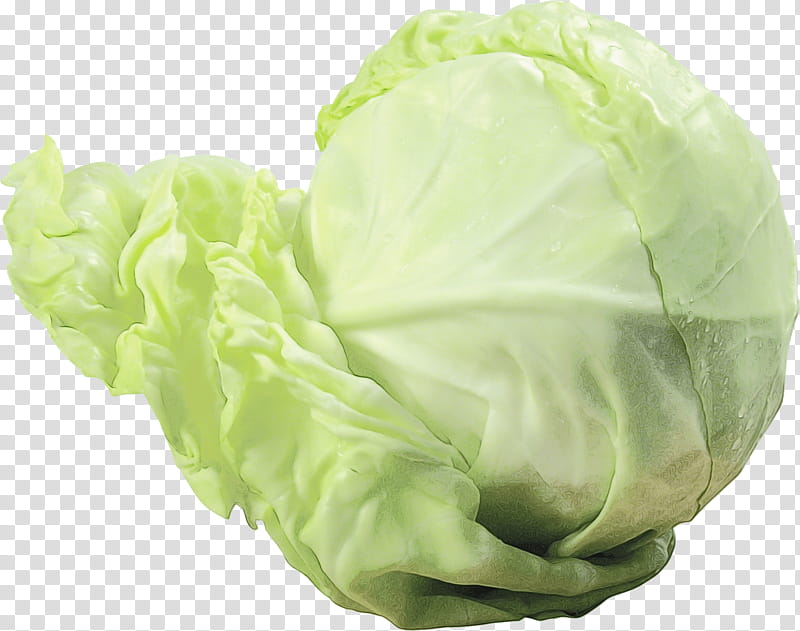 Green Leaf, Cabbage, Vegetarian Cuisine, Cabbage Roll, Kohlrabi, Cauliflower, Vegetable, Savoy Cabbage transparent background PNG clipart