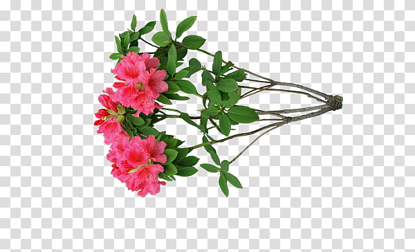 Flowers, pink petaled flowers with leaves illustration transparent background PNG clipart