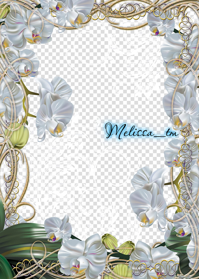 magic silver orchids frame, white and green floral frame transparent background PNG clipart