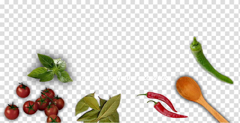 Bird, Birds Eye Chili, Cayenne Pepper, Tabasco Pepper, Food, Chili Pepper, Malagueta Pepper, Superfood transparent background PNG clipart