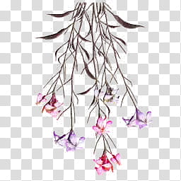 MMD STAGE Strolling on Sunday, pink and purple petaled flowers transparent background PNG clipart