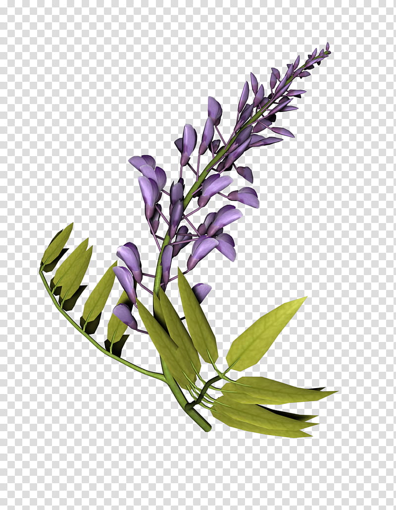 Flowers, purple and green plants illustration transparent background PNG clipart