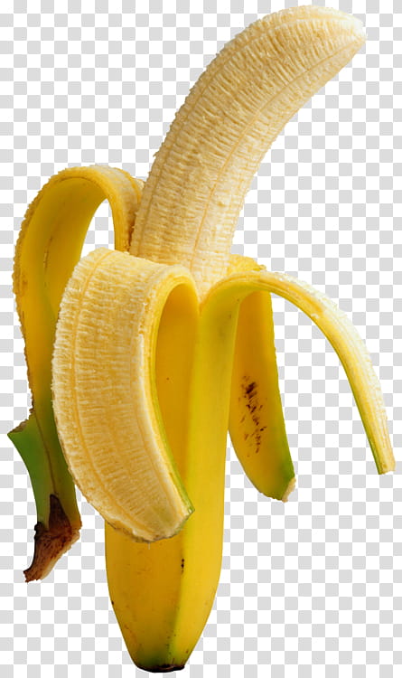 Kinda Cool S, yellow banana transparent background PNG clipart