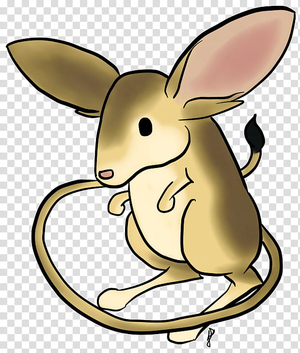 Cat Drawing, Jerboa, European Hare, Longeared Jerboa, Macropods, Animal, Rabbit, Cartoon transparent background PNG clipart