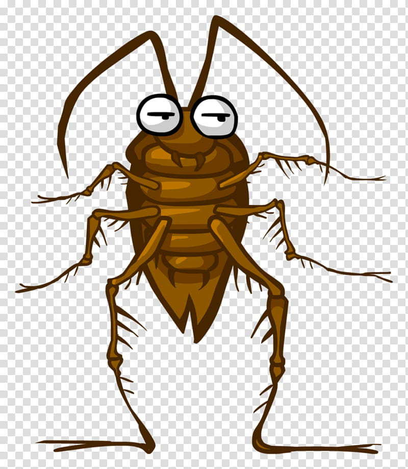 Cucaracha, cockroach cartoon transparent background PNG clipart