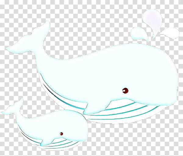 Whale, Dolphin, Porpoise, Whales, Fish, Cetaceans, Line, Biology transparent background PNG clipart