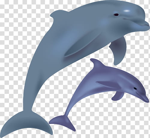 OO WATCHERS, two purple and gray dolphin illustration transparent background PNG clipart