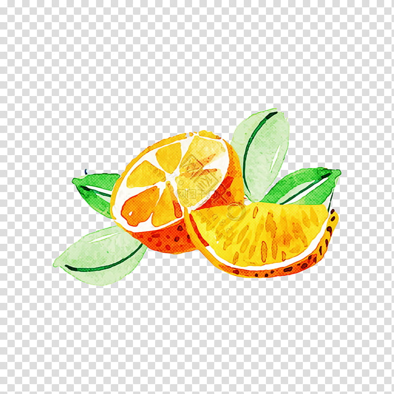 Orange, Lime, Citrus, Lemonlime, Key Lime, Leaf, Fruit, Yellow transparent background PNG clipart