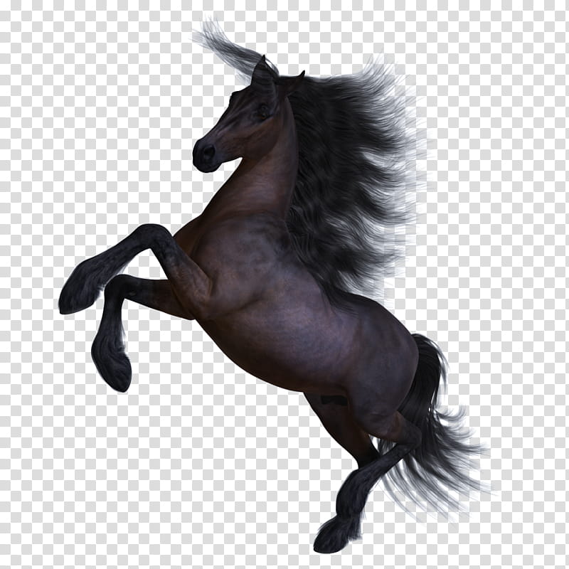 Horse , brown rearing horse transparent background PNG clipart
