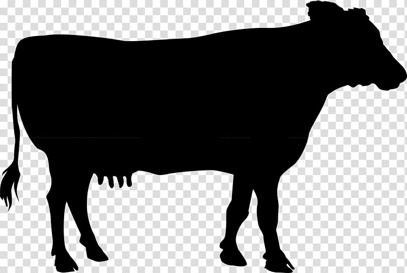 Family Silhouette, Dairy Cattle, Calf, Bull, Ox, Agriculture, Bovini, Farm transparent background PNG clipart