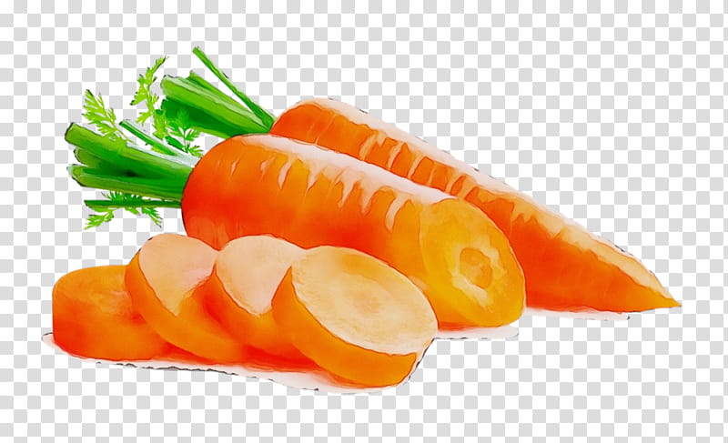 carrot food vegetable fish slice dish, Watercolor, Paint, Wet Ink, Root Vegetable, Cuisine, Ingredient, Wild Carrot transparent background PNG clipart
