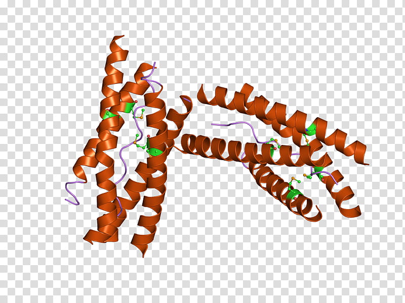 Acetylcholinesterase Text, Neurotransmitter, Enzyme, Hydrolysis, Acetic Acid, Alzheimers Disease, Enzyme Commission Number, Amyloid transparent background PNG clipart