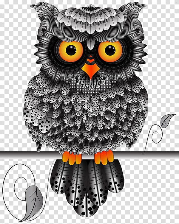 Grey, Bird, Northern Whitefaced Owl, Southern Whitefaced Owl, Eastern Screech Owl, Printing, Little Owl, Barn Owl transparent background PNG clipart