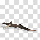 Spore creature Pteranodon flying female transparent background PNG clipart