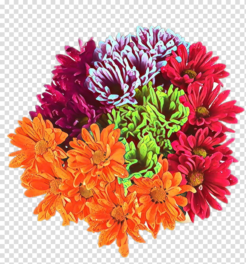 Bouquet Of Flowers, Chrysanthemum, Chamomile, Cut Flowers, Floral Design, Flower Bouquet, Transvaal Daisy, Bisabolol transparent background PNG clipart