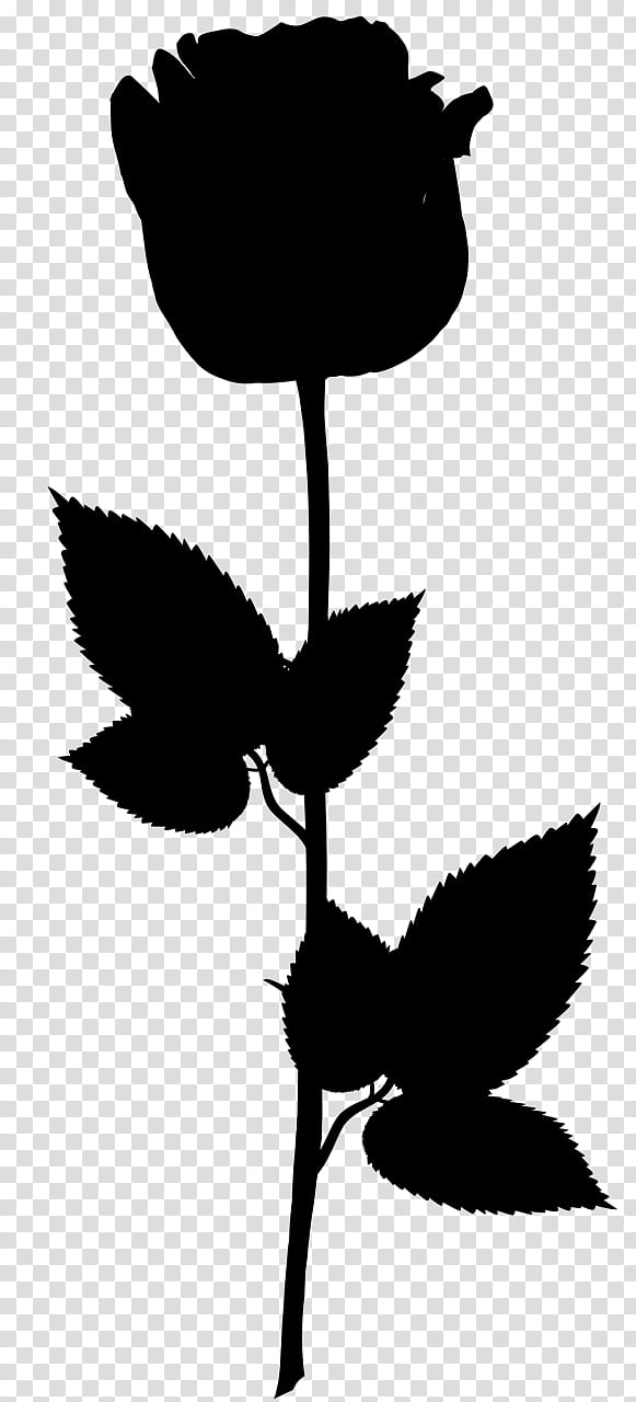 Leaf Silhouette, Plant Stem, Branching, Plants, Blackandwhite, Flower, Wildflower, Wing transparent background PNG clipart