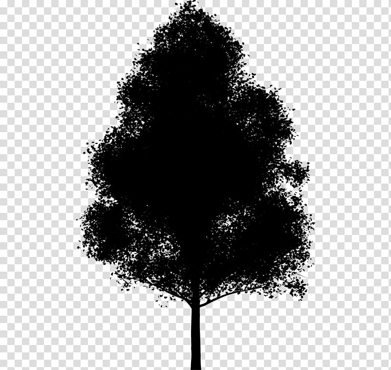 Tree Branch Silhouette, Black Hole, Food, Heavy Metals, Supermassive Black Hole, Blog, Leaf, Woody Plant transparent background PNG clipart
